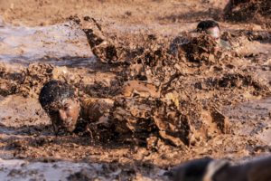 a mud race such as the tough mudder or spartan race